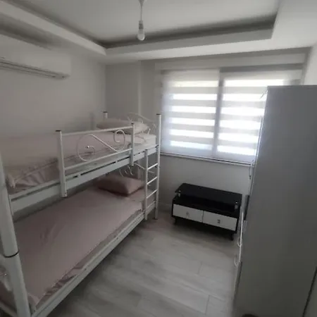 فيلة Denize 50 Mt
